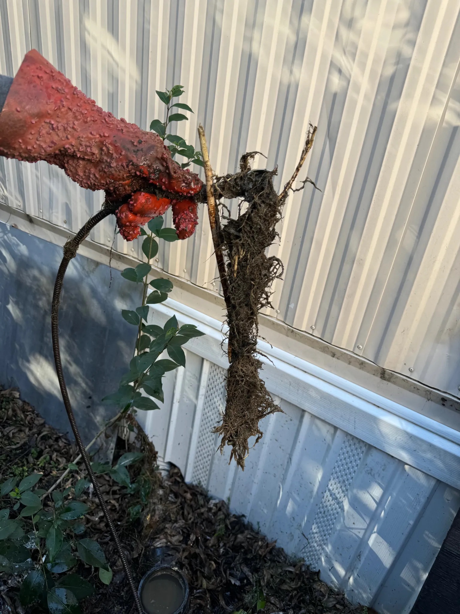 Drainage Service Sacramento